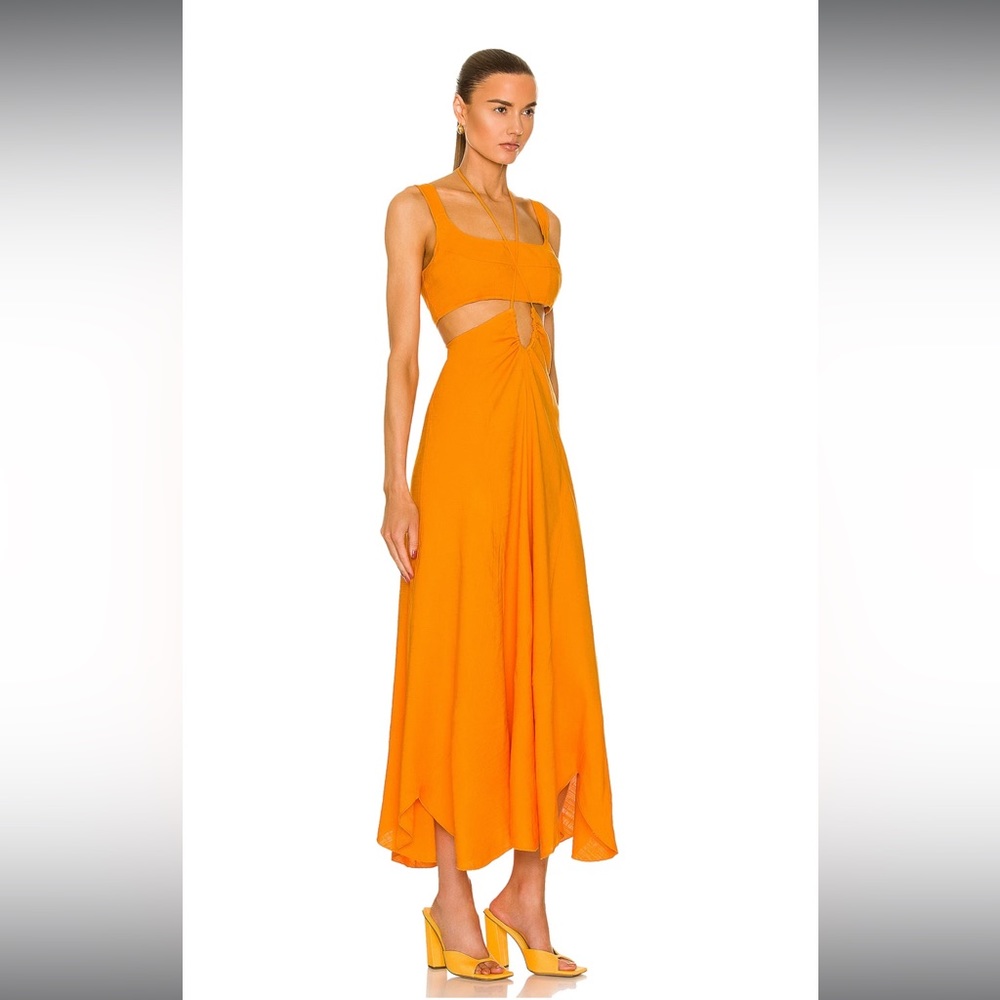 Cult Gaia Eileen dress